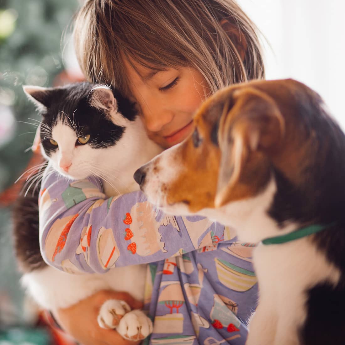 A photo of a child holding a cat with a dog near by